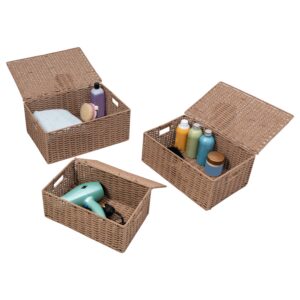 Paper Rope Basket Set with Lids (Set of 3) - Taupe